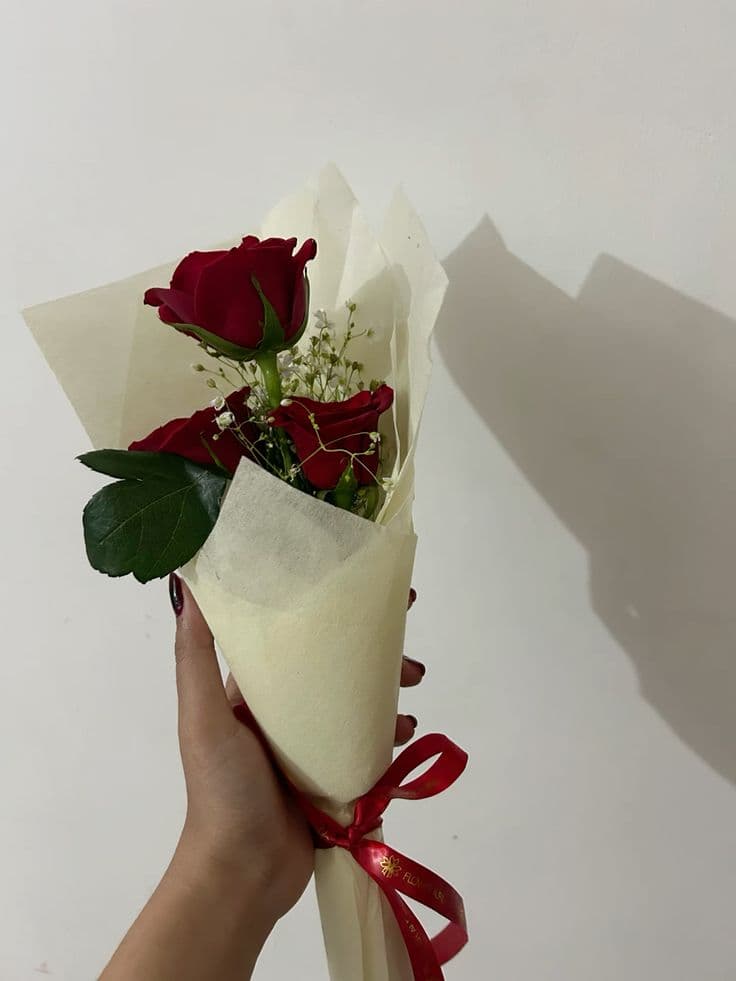Classic Red Roses Bundle