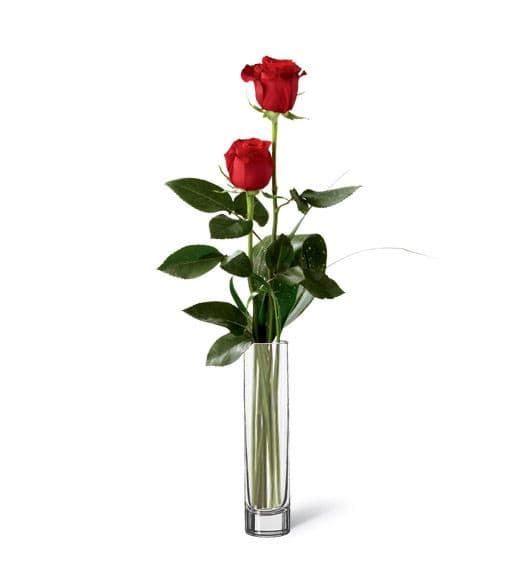 Classic Single Red Rose