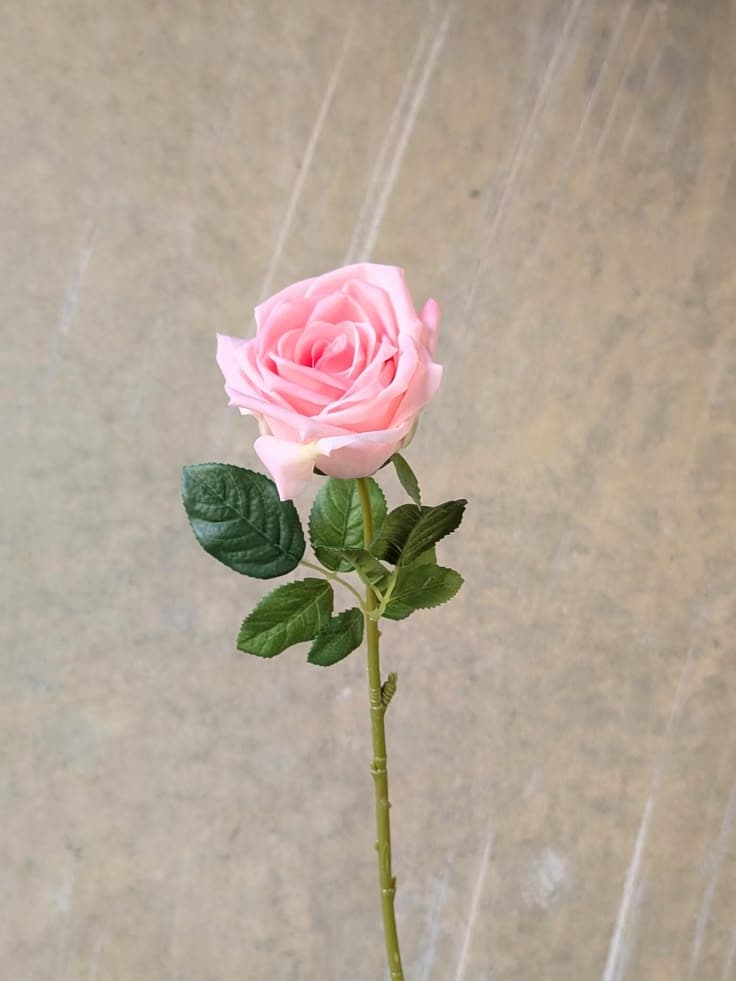 Real Touch Light Pink